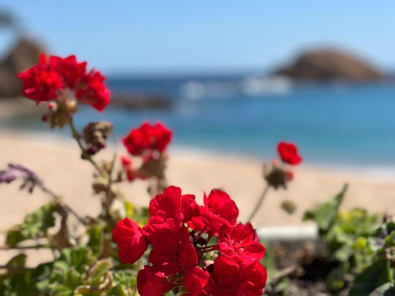 Appartamento Ático con Vistas al Mar a un Paso del Centro Blanes Esterno foto