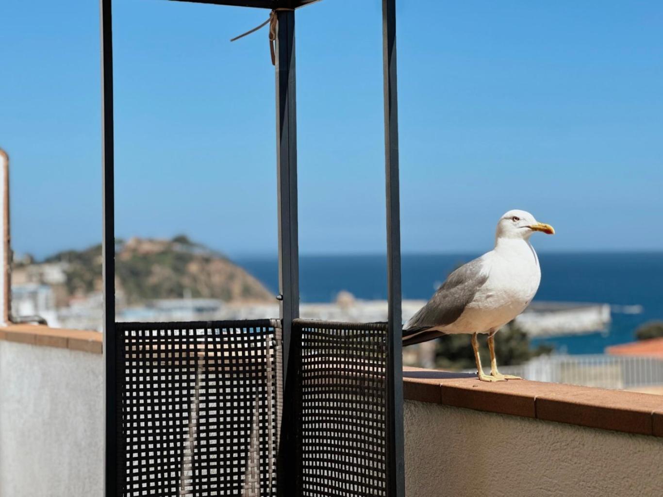 Appartamento Ático con Vistas al Mar a un Paso del Centro Blanes Esterno foto